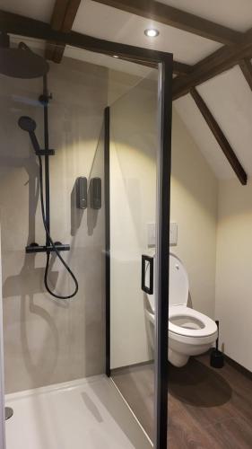 トングレンにあるDe Pelgrimのトイレとシャワー室を備えたバスルーム