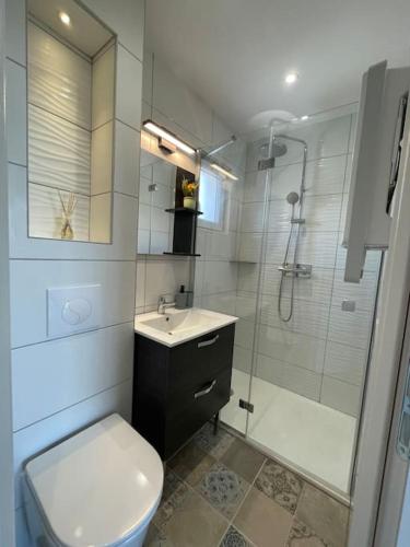 une salle de bain avec une douche, des toilettes et un lavabo dans l'établissement Appartement 6 personnes, au Grau-du-Roi