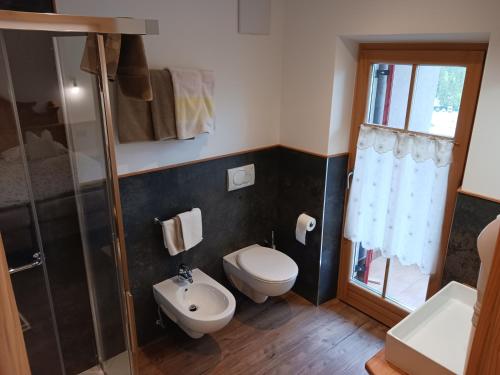 a bathroom with a toilet and a shower and a sink at La Campagnola in Canazei