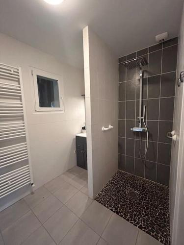 La salle de bains est pourvue d'une cabine de douche et d'un lavabo. dans l'établissement Maison girondine près de saint emilion, à Saint-Magne-de-Castillon