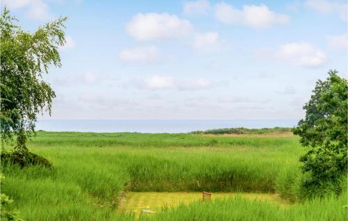 ein Feld mit hoher Wiese mit dem Ozean im Hintergrund in der Unterkunft Holiday Home Jtagholmsvej Rømø Denmark in Rømø Kirkeby