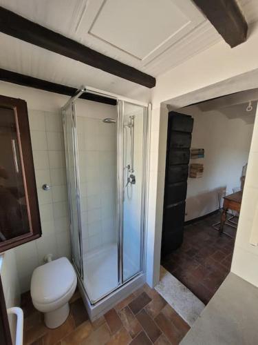 a bathroom with a toilet and a glass shower at Private 2 bedrooms home in Saturnia centre in Saturnia