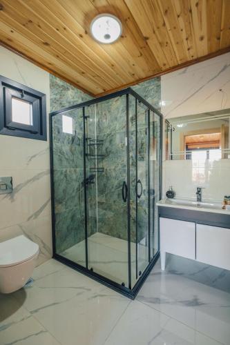 un bagno con doccia in vetro e WC di Sapanca Kırsal Silence a Sapanca
