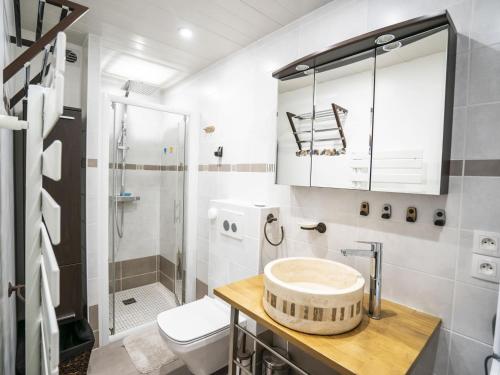 une salle de bain avec un lavabo, des toilettes et une douche dans l'établissement Appartement cosy 5 pers., parking privatif, proche centre et remontées, Châtel - FR-1-676-4, à Châtel