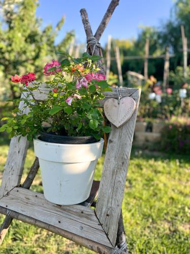 a flower pot on a wooden stand with flowers at Relaxing farmhouse in San Marino