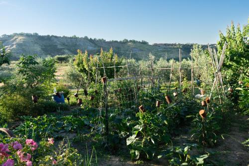 a garden with a bunch of plants at Relaxing farmhouse in San Marino