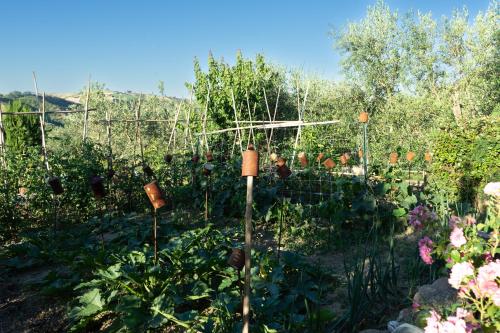a garden with lots of plants and flowers at Relaxing farmhouse in San Marino