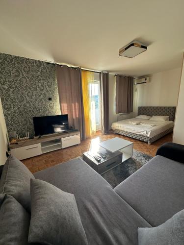 ein Wohnzimmer mit Sofa und Fernseher in der Unterkunft Apartment 601 in Surčin
