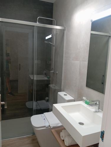 a bathroom with a toilet and a sink and a shower at HOSTAL CASA EMILIO in Almería