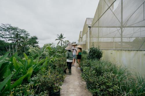 Gallery image of Sunyi Ubud in Petang
