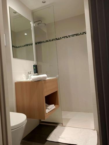 a bathroom with a toilet and a sink and a mirror at Brit Hotel Les Alizes in Pornic