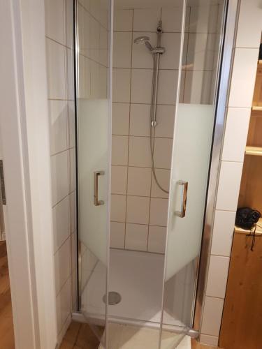 a shower with a glass door in a bathroom at Gretchens in Cochem