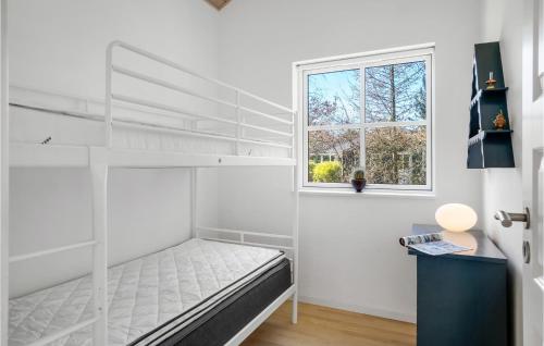 a bedroom with a bunk bed and a window at 4 Bedroom Beautiful Home In Nykøbing Sj in Nykøbing Sjælland