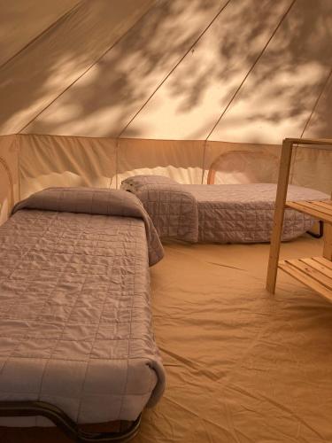 a bedroom with two beds in a tent at Anthares World Resort in Candia Canavese