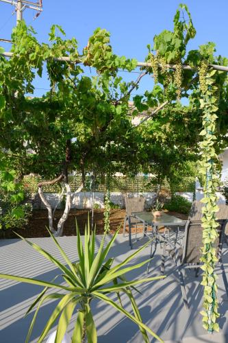 Κήπος έξω από το Verano Apartments