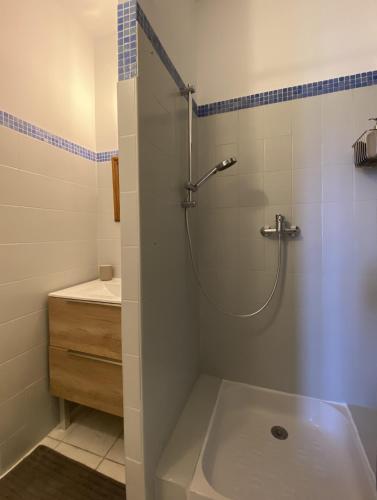 une salle de bain avec douche et lavabo dans l'établissement Les Toits wifi gratuit Vue cœur de ville historique et Halles, à Béziers