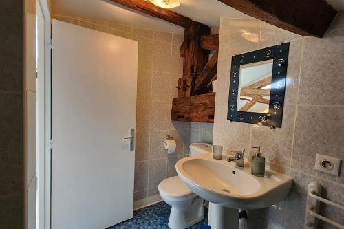 une salle de bain avec un lavabo, des toilettes et un miroir dans l'établissement Petite Maison Papillon, Pool, hot Tub,Relax, à Saint-Vincent-Jalmoutiers