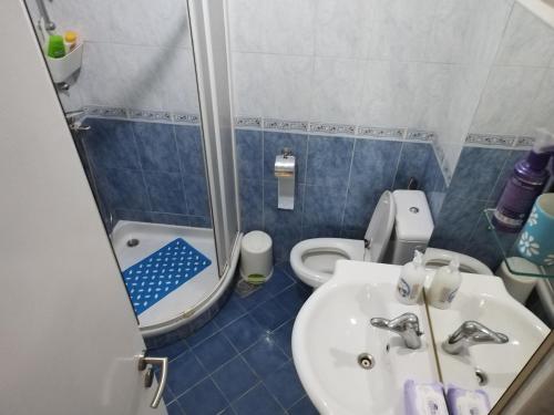a bathroom with a sink and a toilet and a shower at Parovic in Nevesinje