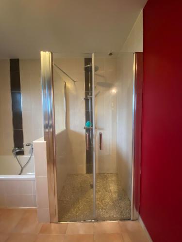 a shower with a glass door in a bathroom at Villa landaise à 9km de l'Océan in Saint-Julien-en-Born
