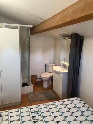 une salle de bain avec toilettes, un lavabo et une douche dans l'établissement Maison du rivage bleu, à Gruissan