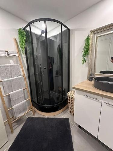 La salle de bains est pourvue d'une douche et d'un grand miroir. dans l'établissement Appartement Cosy Loft, à Salernes