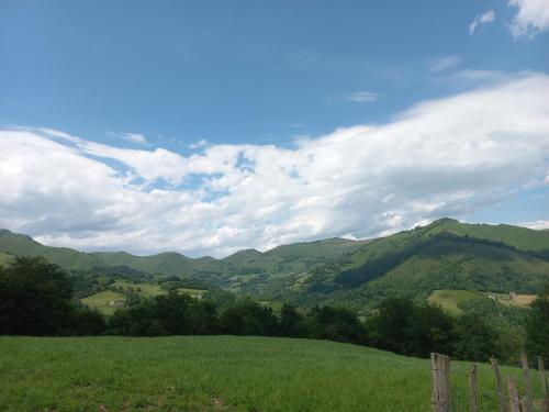a green field with mountains in the background at Gîte Ordokizara in Larrau