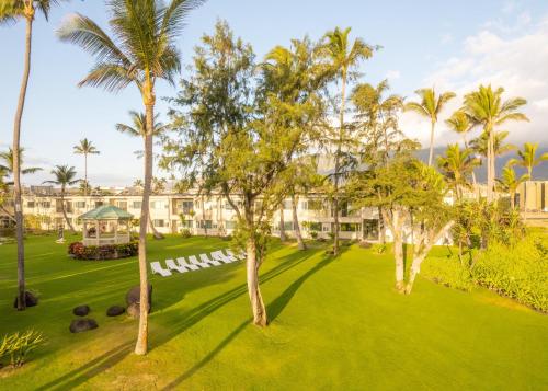 Zahrada ubytování Maui Beach Hotel