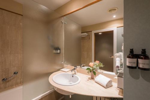 a bathroom with a sink and a mirror at Hotel Ciudad de Valladolid in Valladolid