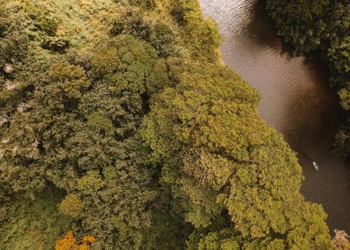an overhead view of a forest next to a river at Plantation Hale Suites in Kapaa