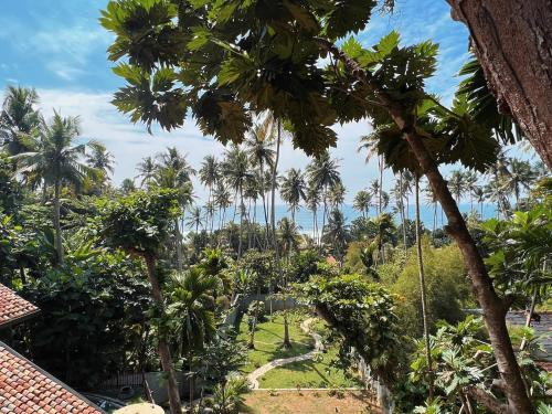 a view of the garden from the resort at Araliya Cabana with oceanview - Madiha Hill in Madihe East