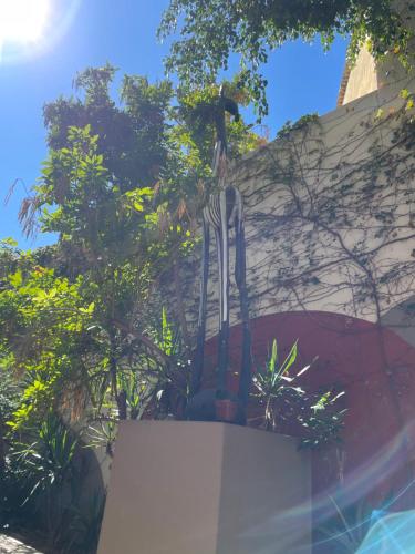 Taman di luar Stern self catering apartments