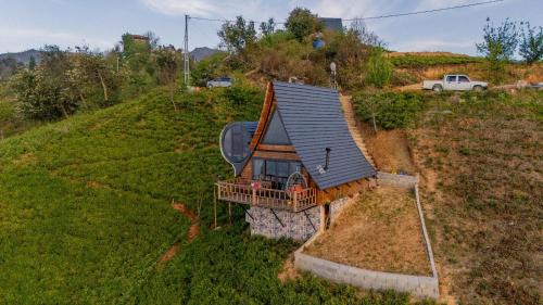 Landskap semula jadi dekat dengan hotel kapsul