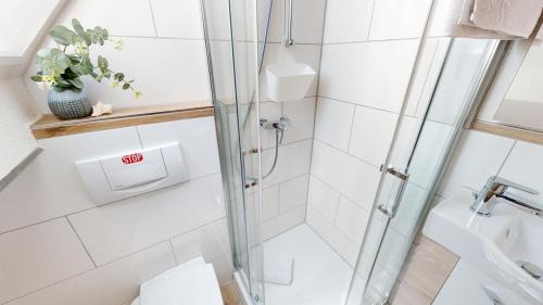 a bathroom with a shower and a toilet and a sink at Skyloft Seeliebe in Markelfingen