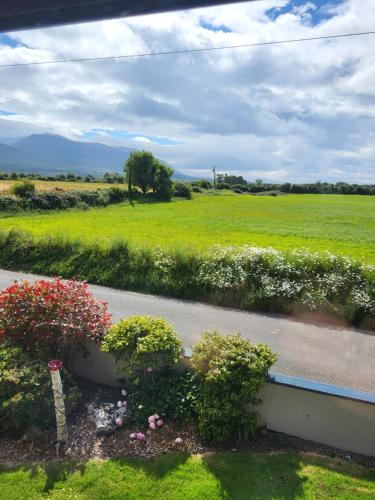 a view of a field and a road with flowers at Heathervillefarm Blennerville rooms in a house in Blennerville