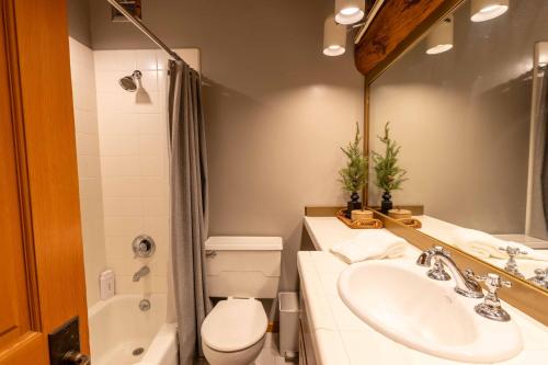 a bathroom with a sink and a toilet and a mirror at The Luxury Cabin at Comfort Circle in Ketchum