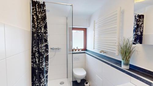 a bathroom with a toilet and a glass shower at Fewo Seenah in Radolfzell am Bodensee