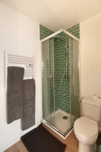 une salle de bain avec douche et toilettes dans l'établissement L'escapade studio en Hypercentre Cathédrale, à Amiens