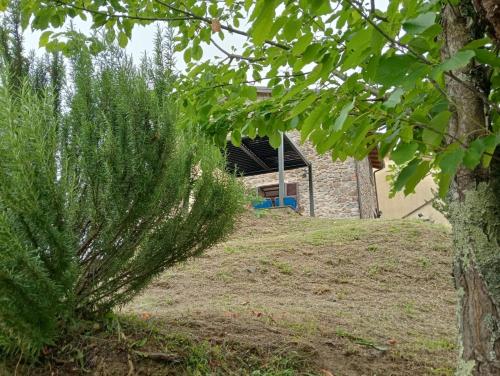 a tree on a hill with a house in the background at Ca Giacomo in Tresana