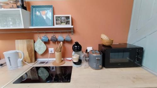 a kitchen counter with a microwave and a stove at 16 Bis-Gîte-Hôtel-Appartement in Marssac-sur-Tarn