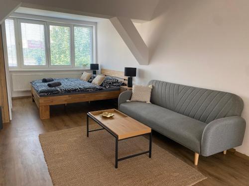 Posezení v ubytování Černý Tulipán - apartmán 6