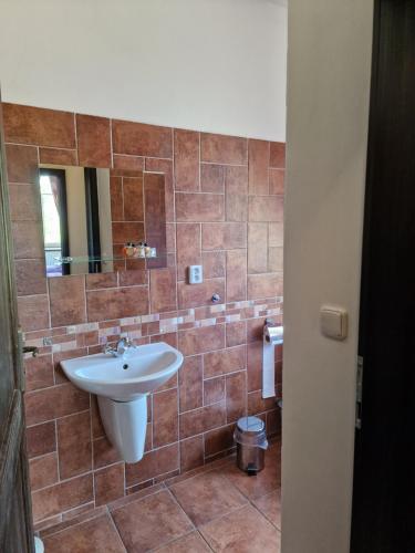 a bathroom with a sink and a mirror at Vlčí Jámy in Lenora