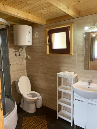 a bathroom with a toilet and a sink at Domki Balos in Karwia