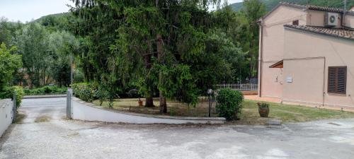 a tree in a fence next to a building at B&B Vetralla in Fabriano
