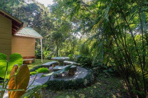 Cabañas Valle Campanas - Monteverde, Costa Ricaにある庭