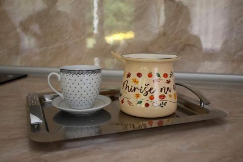 Vikendica Gajićにあるコーヒーまたはお茶