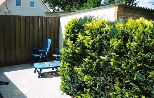 un jardin avec deux chaises et un banc à côté d'un buisson dans l'établissement Awesome Apartment In Karlshagen, à Karlshagen
