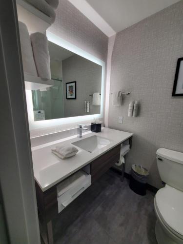 a bathroom with a sink and a mirror and a toilet at Hampton Inn Olathe in Olathe
