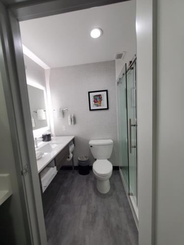 a bathroom with a toilet and a sink at Hampton Inn Olathe in Olathe