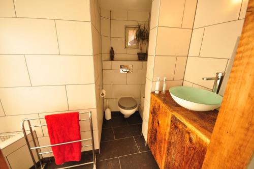 a bathroom with a sink and a toilet at Jungfrau Views Apartment in Interlaken