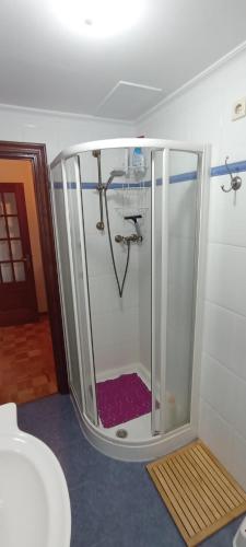 a shower with a glass door in a bathroom at EnVIVEIRO Destino Playa de Covas in Viveiro